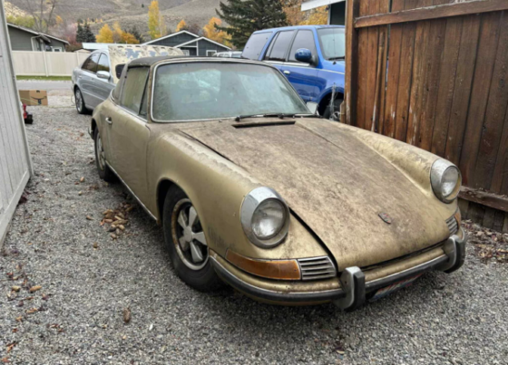 Колекційний Porsche опинився в полоні листя та соснових шишок